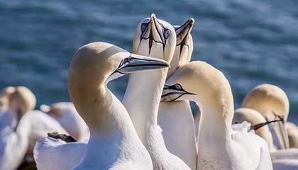 开云体育平台APP-葡萄牙力克西班牙，孙兴慜梅开二度美洲杯