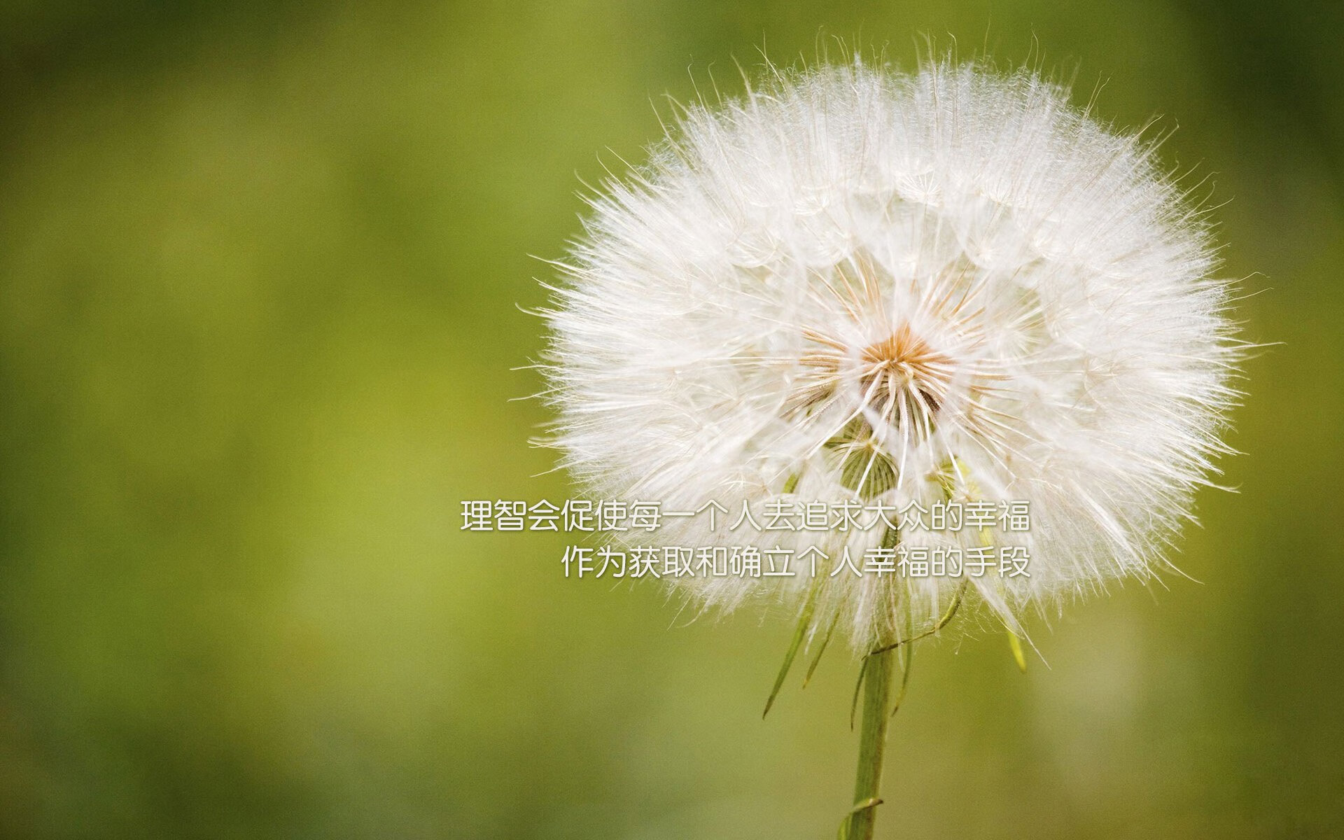 欧冠半决赛的魔法时刻，当哈利伯顿点燃全场，我们看到了篮球的另一种可能