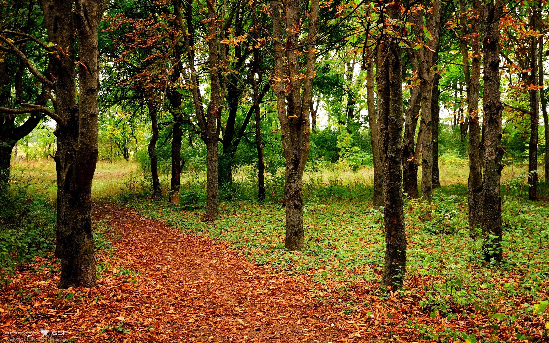 从硬木到街道，当76人用团队坚韧淘汰骑士，武切维奇在F1赛道上演单核接管的跨维度对话